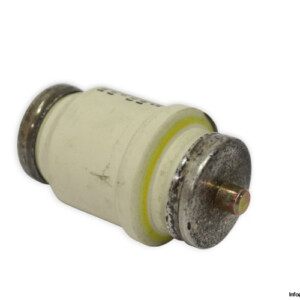 Silized 5SD5 2 100A 500V Fuse Link