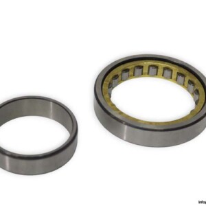 NU.1010.M-cylindrical-roller-bearing-(new)