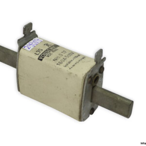 Ljs-lindner-NH0-TF-160a-fuse-link-(New)