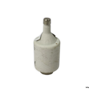 ferraz-shawmut-DIIGG50V6-6a-bottle-fuse-link-(New)
