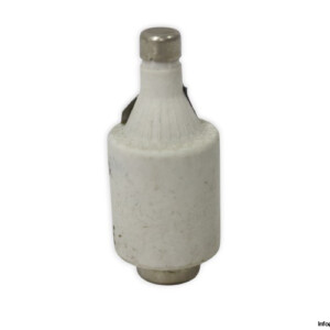 ferraz-shawmut-DIIGG50V10-10a-bottle-fuse-link-(New)