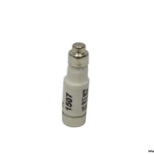 ferraz-shawmut-D01GG40V10-10a-bottle-fuse-link-(New)