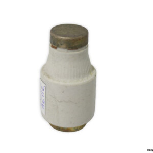bussmann-50D33-GL-GG-50a-bottle-fuse-link-(New)
