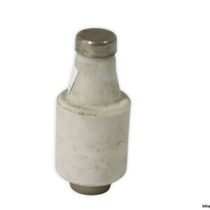 Eltropa DII GL 20A 500VAC Bottle Fuse Link