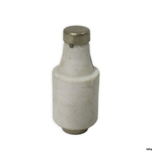 Silized 5SD4 3 GR 20A 500VAC Bottle Fuse Link