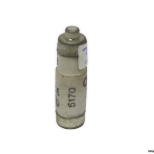lindner-1700.018-GL-GG-16a-bottle-fuse-link-(New)