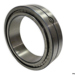 INA SL01 4930 Cylindrical Roller Bearing