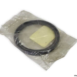 0505031-oil-seal(new)
