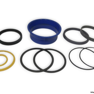 Cascade 660955 Seal KIT