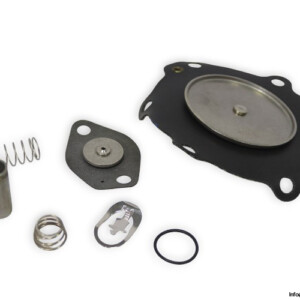 Asco C113827 Spare Parts KIT