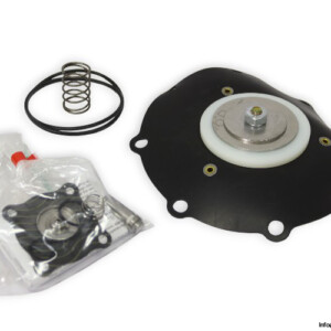 Asco C123433-1BW Spare Parts KIT