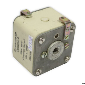 bussmann-170L8497-fuse-link-(New)