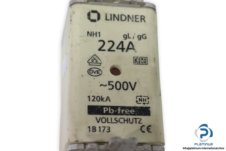 lindner-NH1-1B173-gl-gg-224a-120ka-fuse-link-(New)-1