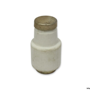 ferraz-shawmut-DIIIGG50V63-63a-bottle-fuse-link-(New)
