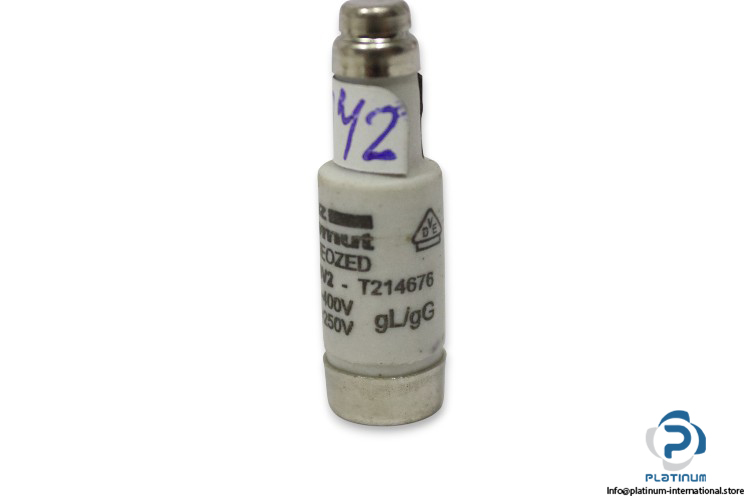 ferraz-shawmut-D01GG40V2-2a-bottle-fuse-link-(New)-2