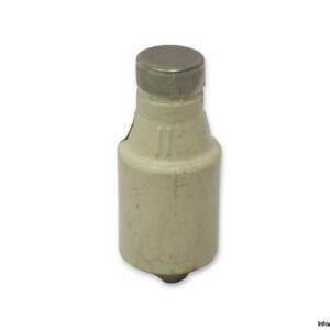 Siba 1000507 25A 500VAC Bottle Fuse Link