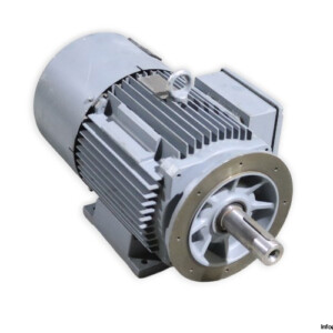 SEW DW132M-F6/BM/TF/II3D Motor Brake