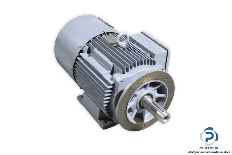 sew-DW132M-F6_BM_TF_II3D-motor-brake-(new)