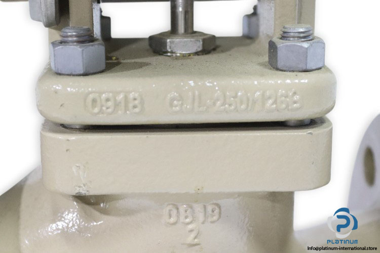 samson-3244-DN50-PN16-pneumatic-control-valve-(new)-5