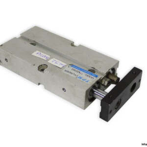 TPM TTN20X60 Twin ROD Cylinder