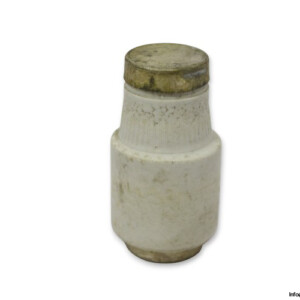 Siemens 5SB4-31 Gl/Gg 63A 500VAC Bottle Fuse Link