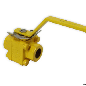 EAC K809SGSGV Ball Valve
