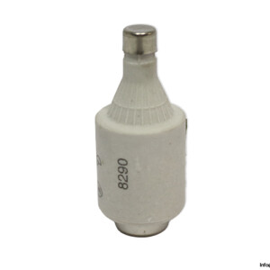 eti-DII-gg-gl-10a-bottle-fuse-link-(New)