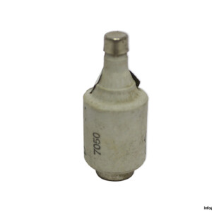 lindner-597.0107-GL-10a-bottle-fuse-link-(New)