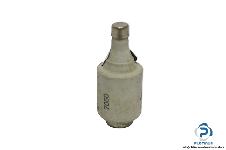 lindner-597.0107-GL-10a-bottle-fuse-link-(New)