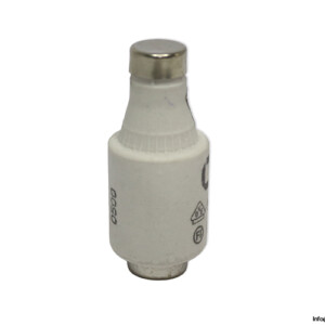 lindner-597.0207-DII-GL-GG-20a-bottle-fuse-link-(New)
