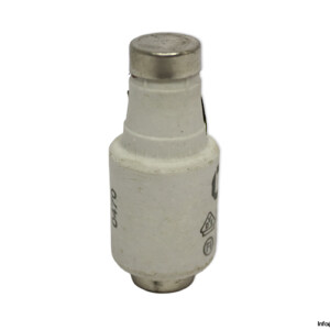 lindner-597.0257-GL-GG-25a-bottle-fuse-link-(New)
