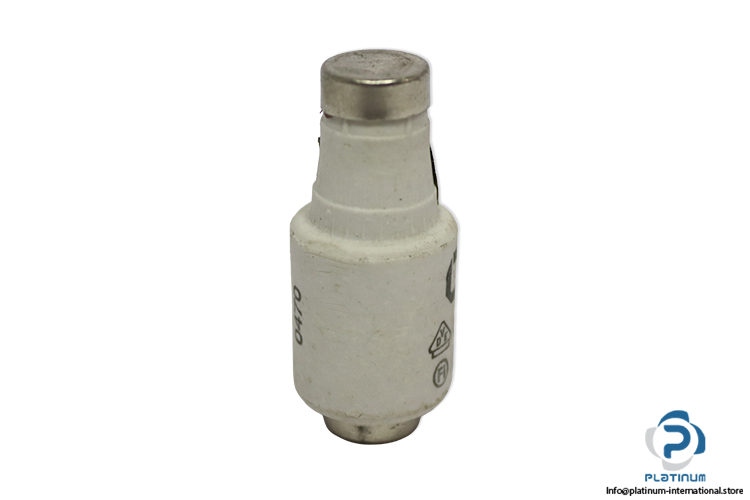 lindner-597.0257-GL-GG-25a-bottle-fuse-link-(New)
