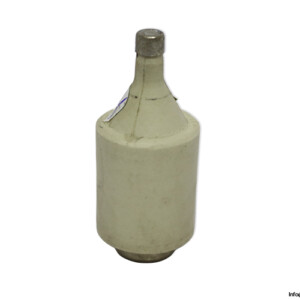 Original Diazed 5SB21 2A-500V Bottle Fuse Link