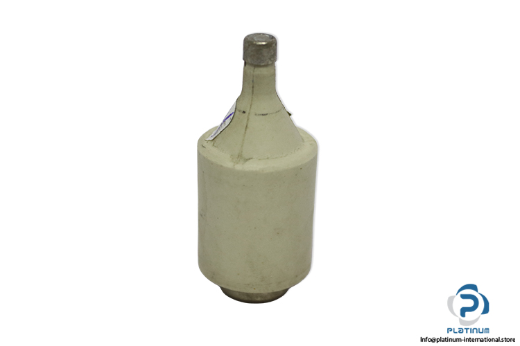 original-diazed-5SB21-2A-500V-bottle-fuse-link(new)