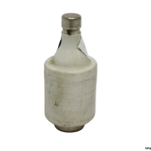 original-diazed-5SB25-10A-500V-GL-GI-bottle-fuse-link(new)