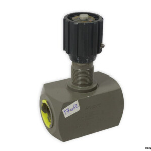 Flutec DV-16-01.1/0 Needle Valve
