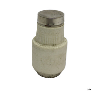 lindner-598.0637-GL-63a-bottle-fuse-link-(Used)