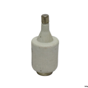 OVE GL 2A 500VAC Bottle Fuse Link