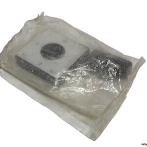 Sprecher-schuh-LFS2-A-4-875-shaft-extension(new)
