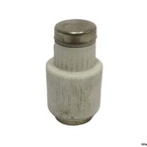 eltropa-DIII-GL-GG-63a-bottle-fuse-link-(New)