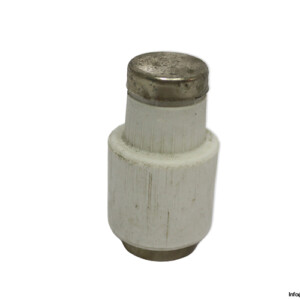 Eltropa Diii GL-GG 63A 500VAC Bottle Fuse Link