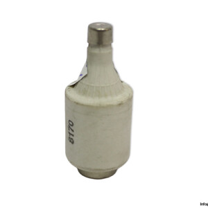ecg-10a-bottle-fuse-link-(New)