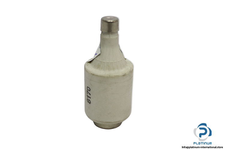 ecg-10a-bottle-fuse-link-(New)