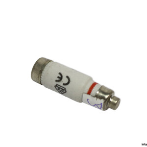m.schneider-0813-D01-GG-GL-10A-bottle-fuse-(New)
