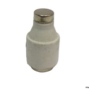 Italweber GG-GL 30A 500VAC Bottle Fuse Link