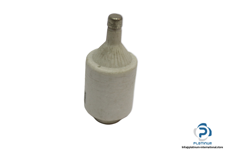 weber-6a-500VAC-bottle-fuse-link-(New)