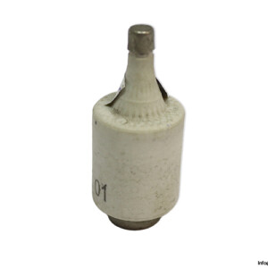 lindner-597.6107-6F-GL-GG-10a-bottle-fuse-link-(New)