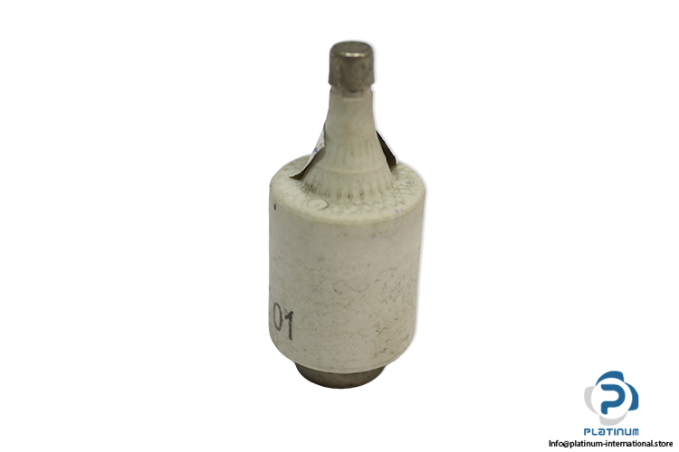 lindner-597.6107-6F-GL-GG-10a-bottle-fuse-link-(New)