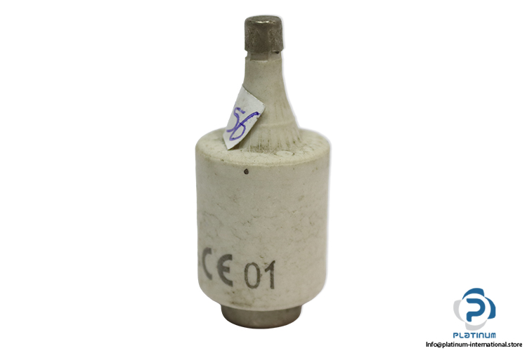 lindner-597.6107-6F-GL-GG-10a-bottle-fuse-link-(New)-3