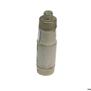 ecofuse-D01-GL-GG-16a-bottle-fuse-link-(New)